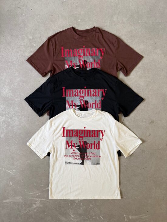 Remeron M/C My Imaginary World