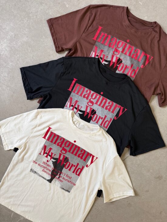 Remeron M/C My Imaginary World